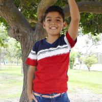 T Shirt Bandera Tricolor Talla...